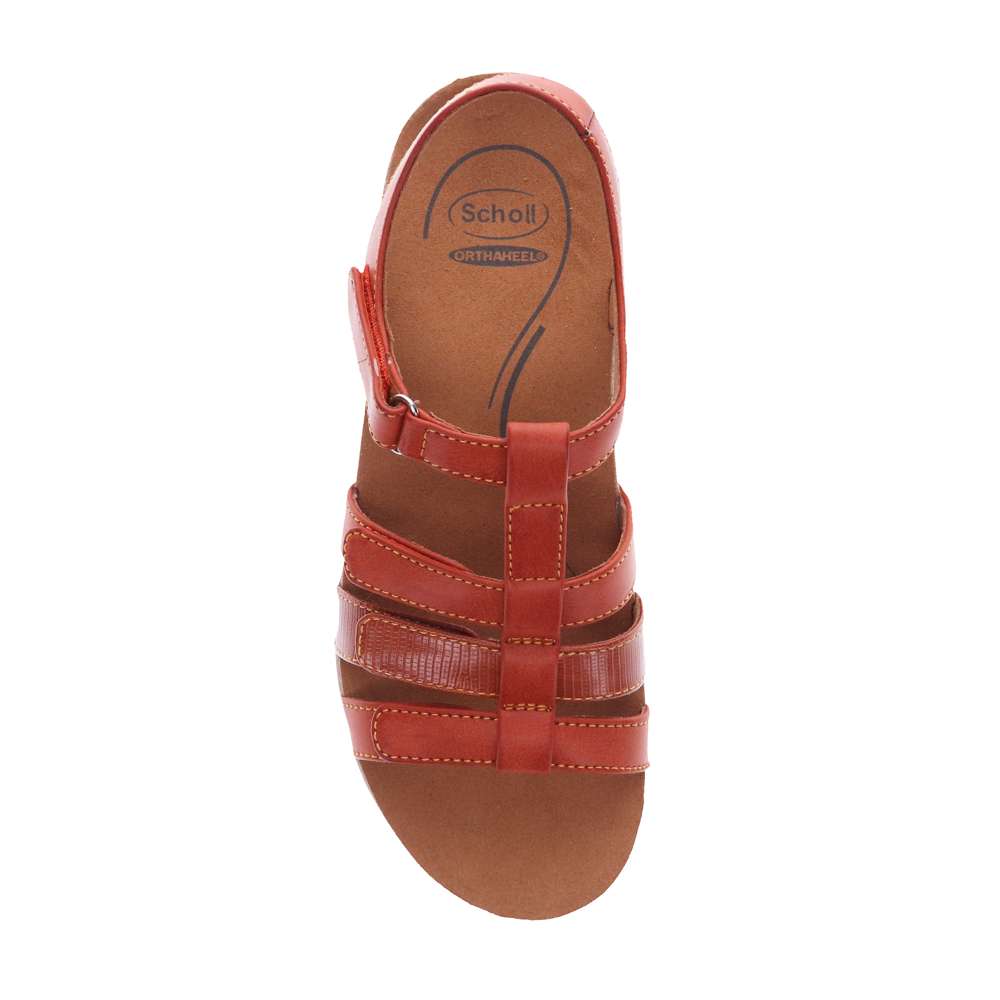 Alessandra Sandal - Brown