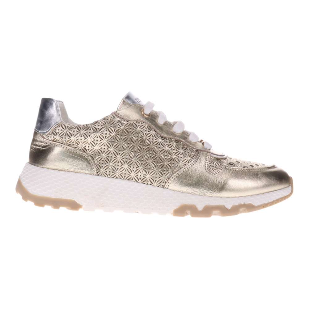 Los Angeles Sneaker - Gold Multi