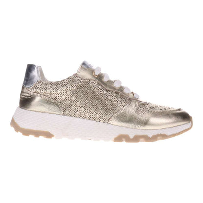 Los Angeles Sneaker - Gold Multi
