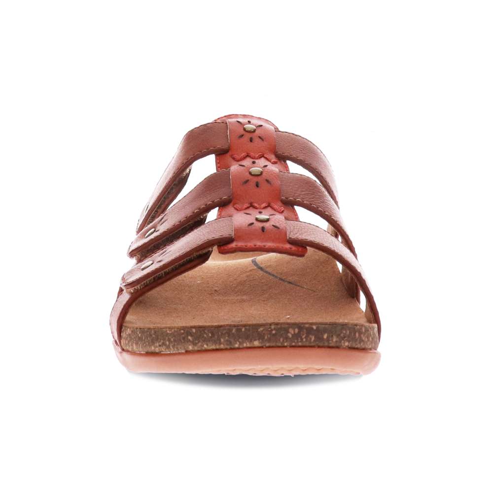 Andrea Slide - Tangerine/Tan