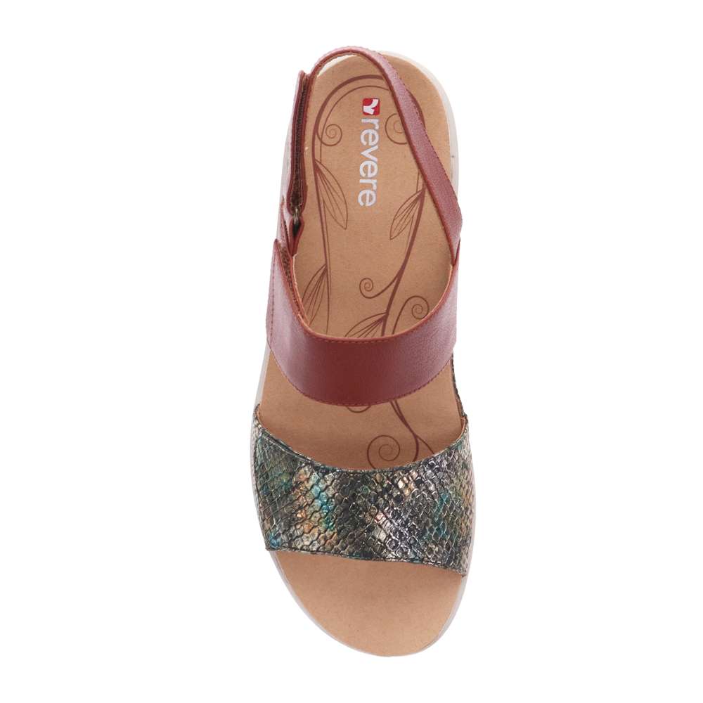 Como Adjustable Slingback Sandal - Cognac/Peacock Python